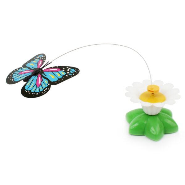 Colorful Electric  Butterfly and Bird - Image 4