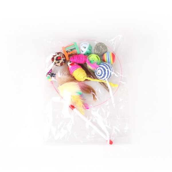 Cat Teaser Toy 12 Pcs Set - Image 4
