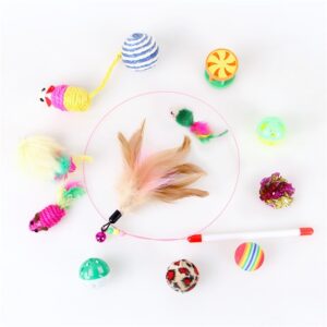 Cat Teaser Toy 12 Pcs Set