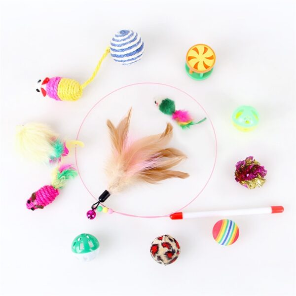 Cat Teaser Toy 12 Pcs Set