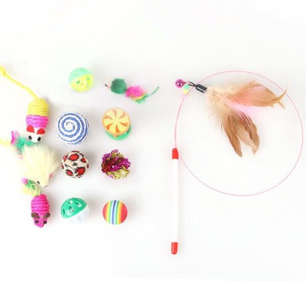 Cat Teaser Toy 12 Pcs Set - Image 3