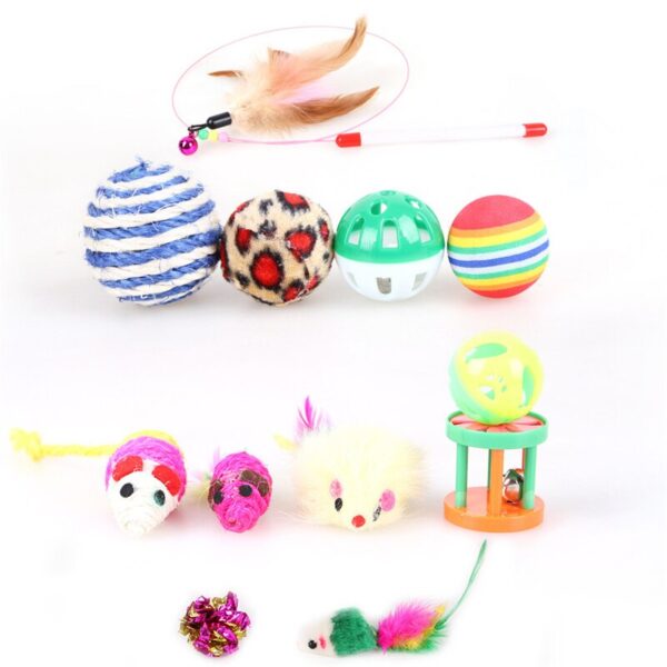 Cat Teaser Toy 12 Pcs Set - Image 6