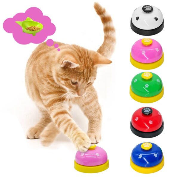 Training Interactive Bell - Image 4