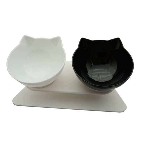 Non-Slip Double Bowl