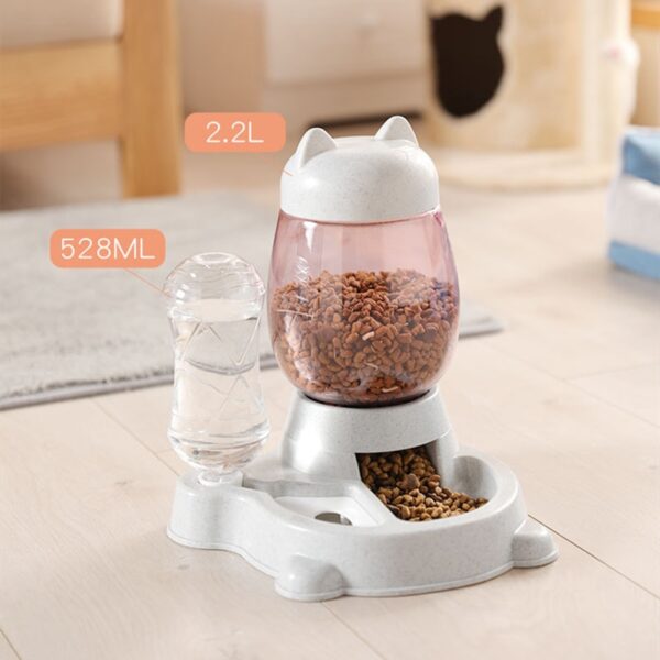 Automatic Pet Food and Water Dispenser