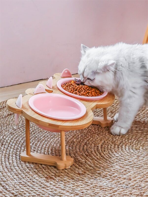 Ceramic Pet Bowl with Tilted Base - Image 5