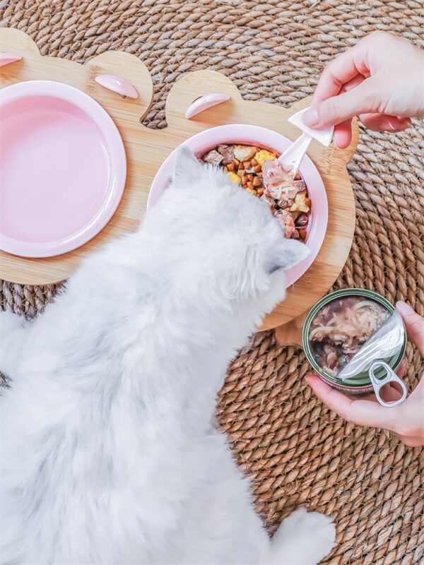 Ceramic Pet Bowl with Tilted Base - Image 4