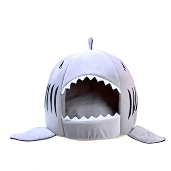 Cute Shark Shaped House - Image 4