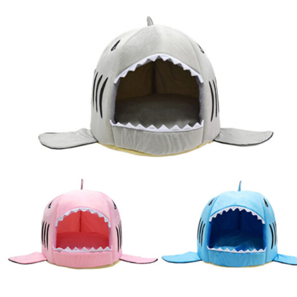 Cute Shark Shaped House - Image 3