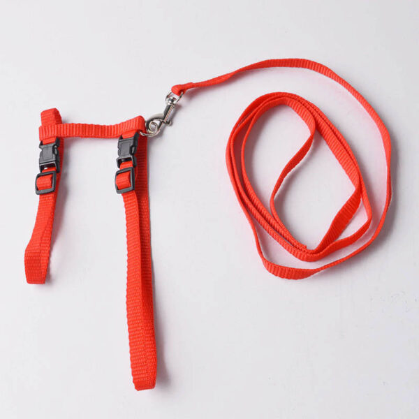 Adjustable Cat Walking Harness - Image 5