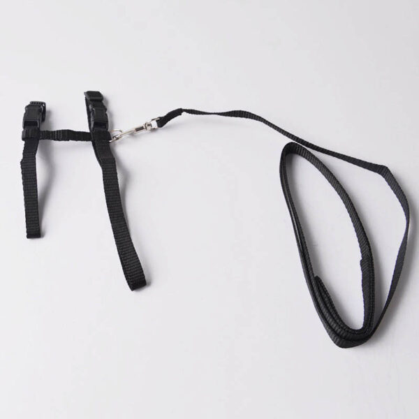 Adjustable Cat Walking Harness - Image 4