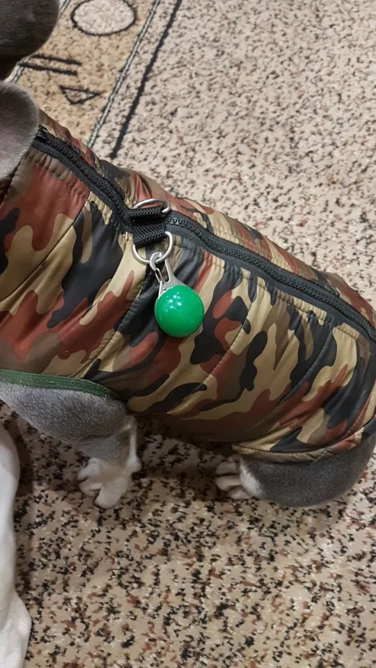Review image