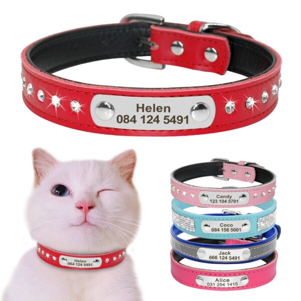 Pet Personalized Leather Collar