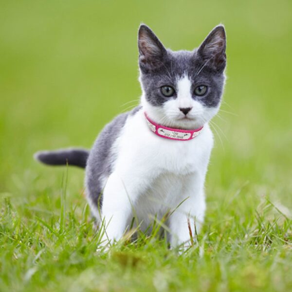 Pet Personalized Leather Collar - Image 6