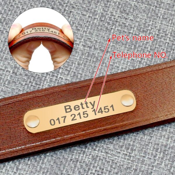 Elegant Genuine Leather Collar - Image 5