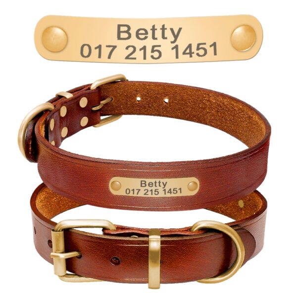 Elegant Genuine Leather Collar - Image 4