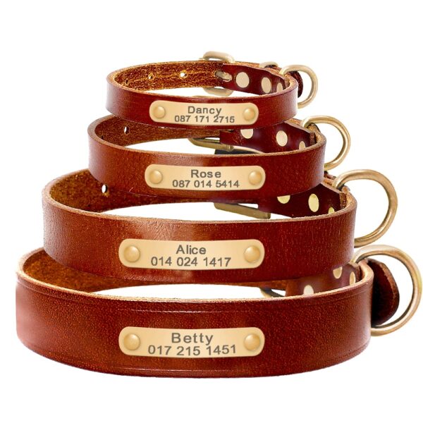 Elegant Genuine Leather Collar - Image 3