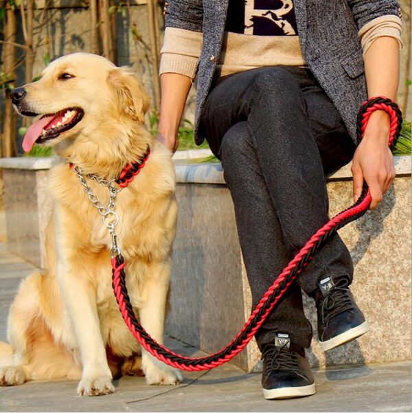 Dog's Loose Rope Nylon Leash - Image 4