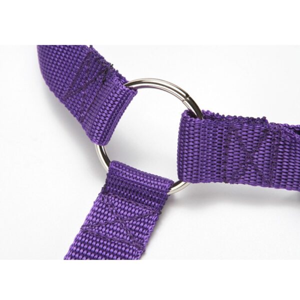 Pet Seat Belt Leash - Image 5