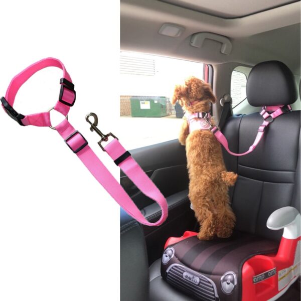 Pet Seat Belt Leash