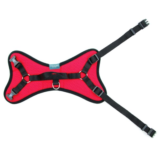 Dog's Padded Harness - Image 4