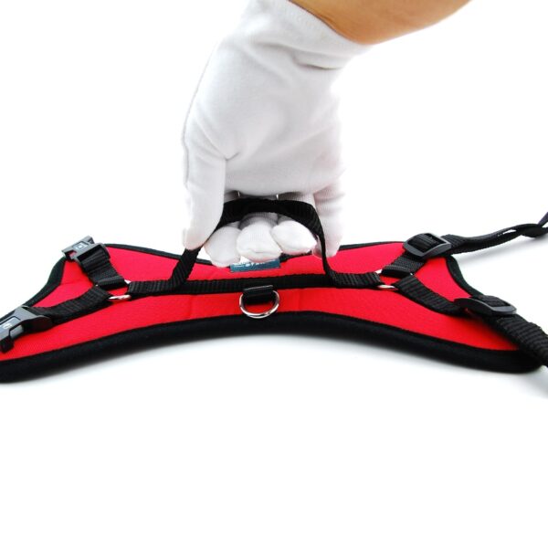 Dog's Padded Harness - Image 3