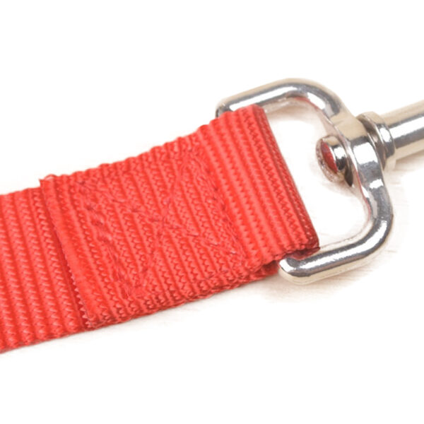 Casual Nylon Leashes For Dogs - Image 7