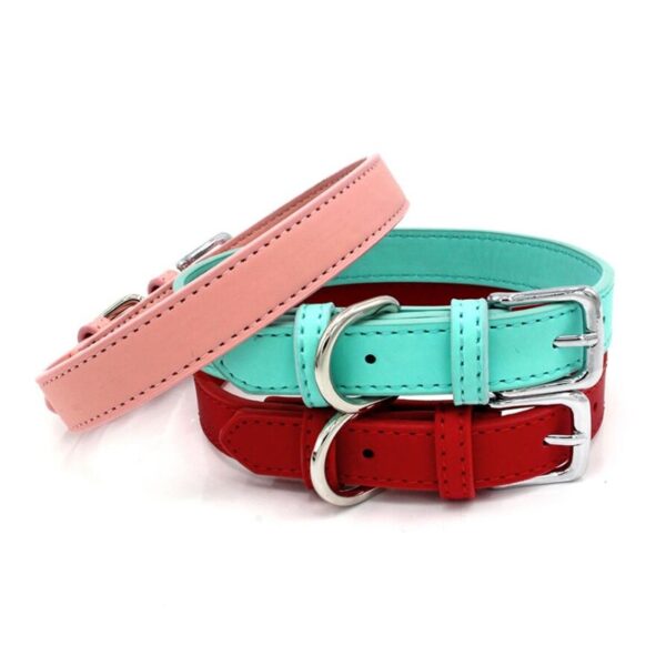 Solid Color Collar for Small Dogs - Image 3