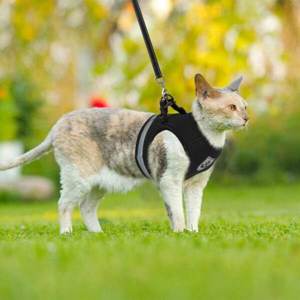 Reflective Breathable Harness - Image 6