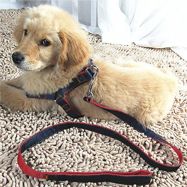 Comfort Style  Long Dog Leash - Image 5