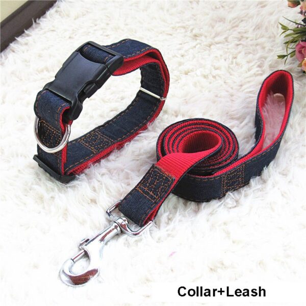 Comfort Style  Long Dog Leash