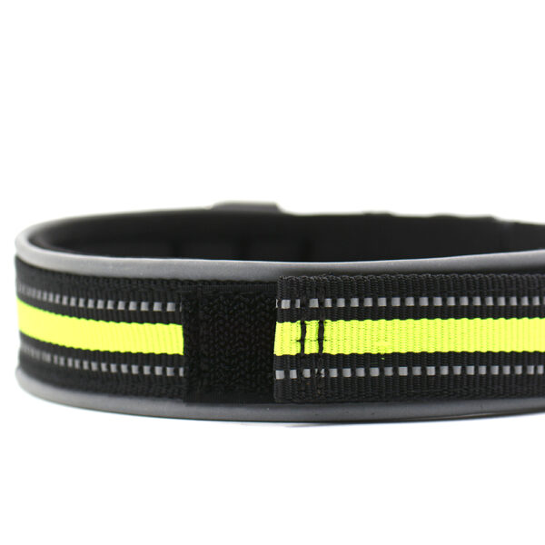 Solid Convenient Adjustable Nylon Dog Collar - Image 6