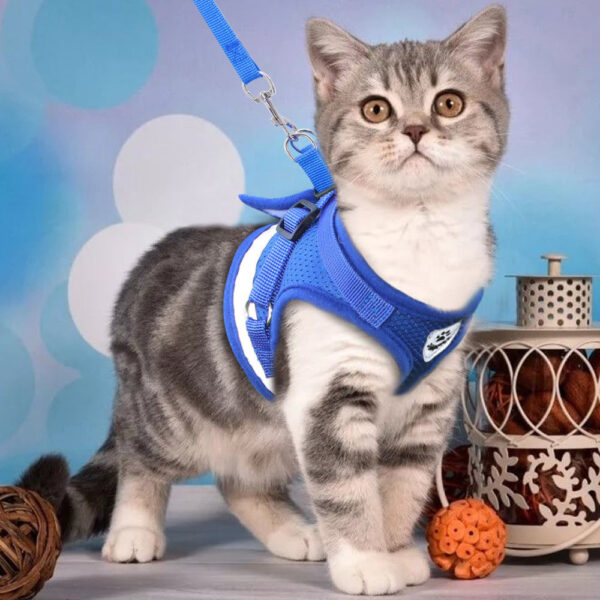 Cat's Reflective Harnesses And Leashes - Image 3