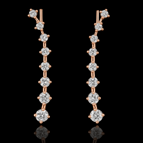Women's Long Hook Earrings